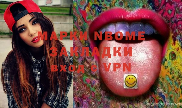 хмурый Новозыбков