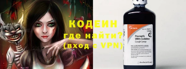 тгк Нея