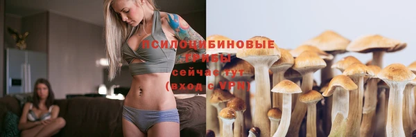 мескалин Нефтегорск