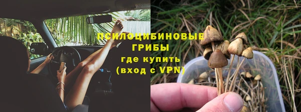 винт Новокубанск