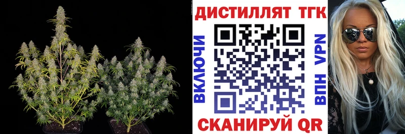 Дистиллят ТГК Wax купить наркоту гидра ссылка Барыш