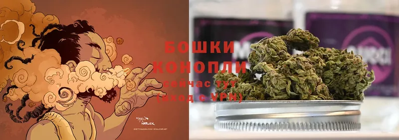 как найти наркотики  Барыш  Бошки марихуана THC 21% 